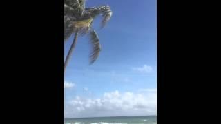 DnaFpv Hollywood beach