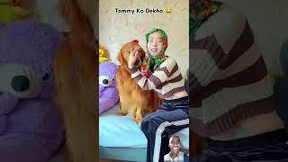 Tommy with Panchayat  #shorts #funny #comedy #ytshorts #shortsfeed #viral