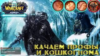 WoW Sirus: Algalon - Качаем профы и кошкогнома