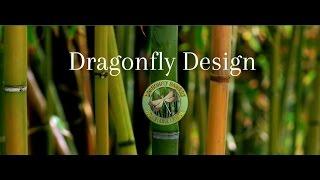 DRAGONFLY DESIGN