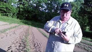 Homesteading How to Apply Fertilizer - Granular