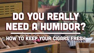 How to Keep Cigars Fresh - Choosing Your First Humidor