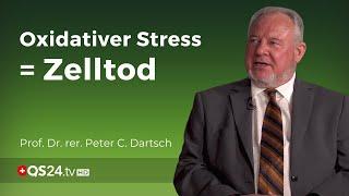 Oxidativer Stress führt zum Zelltod | Prof. Dr. Peter C. Dartsch | Naturmedizin | QS24