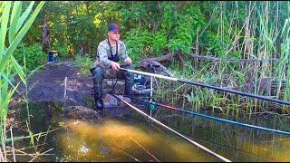 КІЛОГРАМОВІ КАРАСІ на ПОПЛАВОК, ЦЕ КАЙФ!!!  Рибалка на карася. Ловля на поплавок.