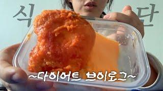 다이어트 브이로그 특 다이어트 열심히하면 노잼에 분량 쓰래기됨