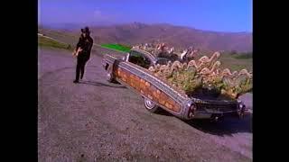 Mike Henderson - Hillbilly Jitters (Music Video) [HQ]