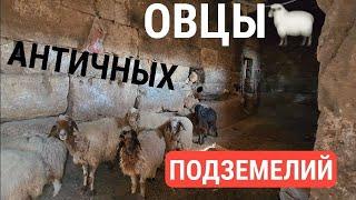 Античность Месопотамии: покинутые дворцы древнего мира