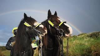 Riding To The Edge Of Ireland With Two Horses And A Dog