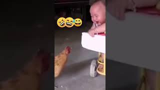 Bayi Ketawa Ngakak sama ayam  #shorts #shortvideo #lucu