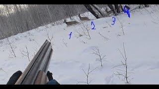 Охота. 4 косули на 2 патрона.  Hunting. 4 roe deer on 2 cartridges.