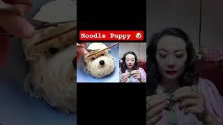 Jenny likes China street food: Noodle puppy ! Jenny eating show Mukbang! Chinese Asian snacks !