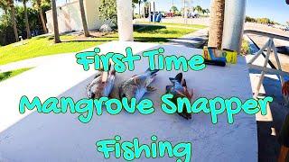 MANGROVE SNAPPER FISHING AND DRONE FAIL  #fishing #boating #florida