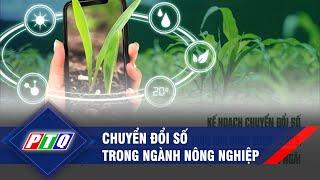 Chuyển đổi số trong ngành nông nghiệp | PTQ