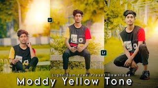 Lightroom Moddy Yellow Tone Preset |Lightroom Free Preset Download|Free Preset Dng|Lr Photo Editing