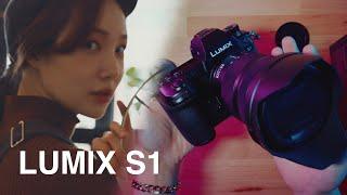 요즘 파나소닉 좋냐고요? 4K 60p로 보고가세요 | Lumix S1 사용기 (용호수의 루믹스 S 스토리)