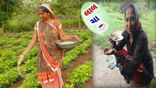 આવો ચા (Tea)️તમે કયારેય નય જોયો હોય? અને Village Life Vlogs, Gamdu, Amit Rinkal Vlogs