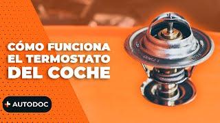 Cómo funciona el termostato del coche | AUTODOC #autodoc #carhack