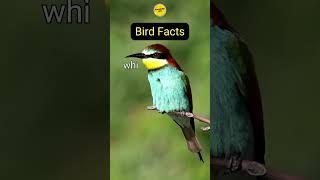 Bird Facts #7 #shortsviral #birdfact #birdfacts