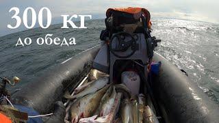 ЛУЧШАЯ МОРСКАЯ РЫБАЛКА СЕЗОНА / BEST SEA FISHING OF THE SEASON