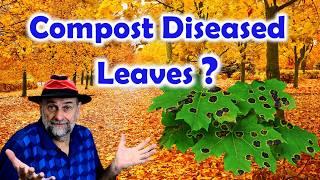 Should You Compost Diseased Leaves?