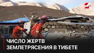 Число жертв землетрясения в Тибете возросло до 95