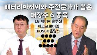 박순혁 작가와 주전문가가 뽑은 대장주 6가지 완벽 분석 #박순혁작가 #2차전지 #배터리아저씨