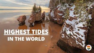 WORLDS HIGHEST TIDES (At low Tide) | Hopewell Rocks, NB |