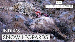 Filming SNOW LEOPARDS in Ladakh | THE WHITE PANTHER with Kenneth Lawrence Ep3 - WILDLIFE PHOTOGRAPHY