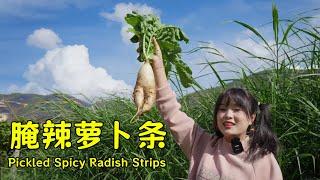 Eat radishes in winter and ginger in summer—today, let’s enjoy the delicious pickled radish cubes!