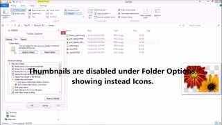 Windows Explorer pane not showing thumbnail previews ?