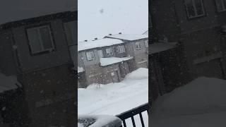 Snow️storm tippaluincanada#canadavlogs #telugushorts #snowfall #youtubeshorts #yt #trending