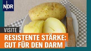 Resistente Stärke: Gut für den Darm und gegen Entzündungen | Visite | NDR