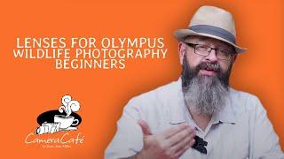 Lenses Olympus M43 Wildlife Photography Beginners