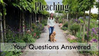 Q&A on Pleaching Trees