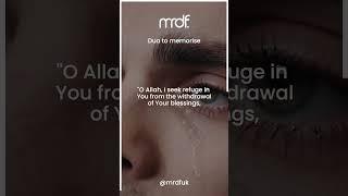 Seek Refuge In Allah | Dua Of The Day