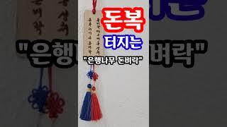 빨리 예약하세요! 돈복 터지는 걸어두는 풍수소품 "은행나무 돈벼락" 돈복 터지는 풍수 기원 참여로 선물로 받읠 수 있어요! 천년의 행운 집안에 부티나는 돈복을 몰고 옵니다