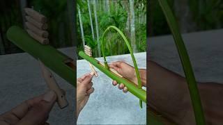 DIY - Bamboo Slingshots with Bamboo creations #Bamboo #Slingshots #DIY #Bambooart