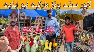 22 ستمبر نیو اپڈیٹ لاہور شالہماربرڈز مارکیٹ نیو اپڈیٹ رانا بھائی کے ساتھ#birds #ranapets