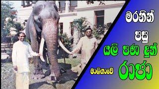 යලිත් උපන් මාලිගාවේ  රාජා/Life story of Maligawe Raja/Eth panthiye Nayakaya.