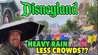 Huge Rainstorm at Disneyland & Crowds..Does Anyone Leave? Has the Reservation System Changed Things?