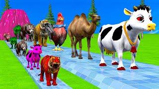 Paint & Animals Cow,Monkey,Beer,Rabbit,Lion,Elephant Fountain Crossing Transformation Animal Cartoon