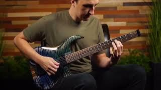Brandon Ewing - Dissemble (Instrumental) solo playthrough