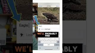 Add captions to your iPhone photos