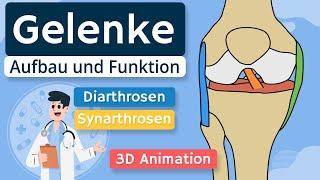 Gelenke - Aufbau und Funktion einfach erklärt | 3D Animation