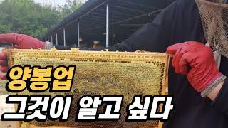 [직업 인터뷰] 허니순꿀벌농장 심온 대표님
