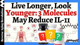 Live Longer, Look Younger: The Groundbreaking Science Of IL-11 Inhibition, 3 Molecules To Reduce It!