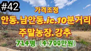 #안동땅매매#안동부동산#안동토지#안동땅#경북땅매매