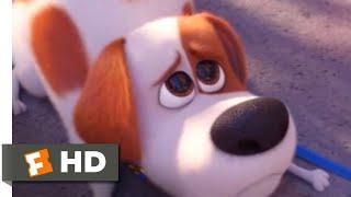 The Secret Life of Pets 2 - Max Goes to the Vet | Fandango Family