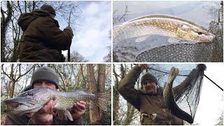  Pike fishing on a pool, from strike to camera