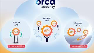 Orca Security Provides Agentless API Security in the Cloud | Cloud Security Tools and Solutions